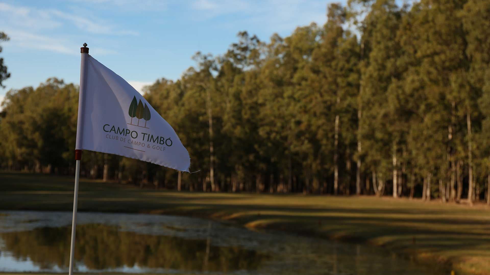 Campo Timbó - Image 1