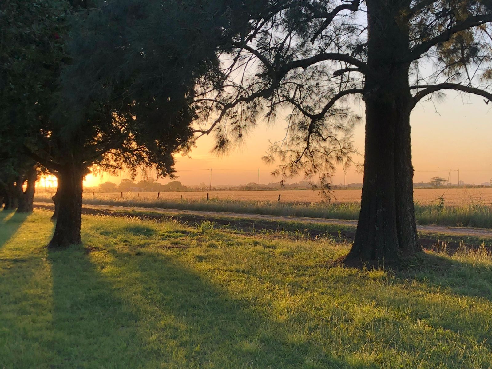 Casilda Golf Club thumbnail 8